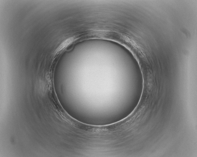 X0000116781354200912171523