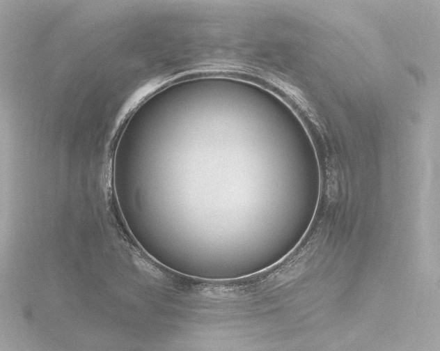 X0000116781366200912171523