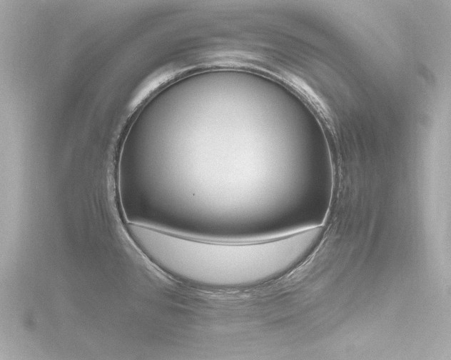 X0000116781384200912171523