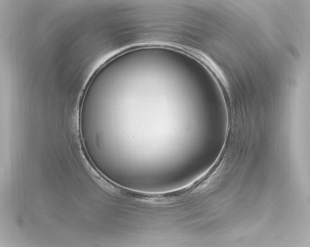 X0000116781388200912171523