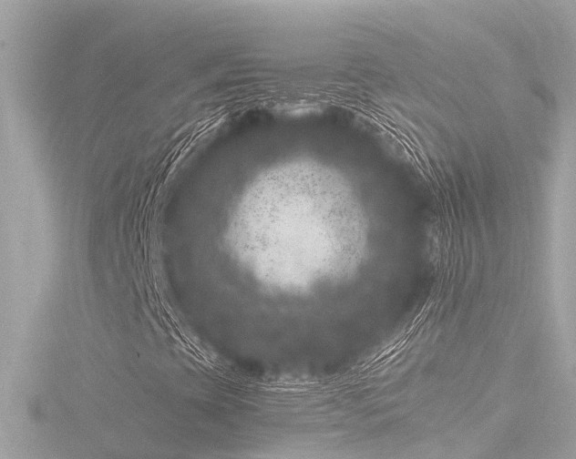 X0000116781393200912171522