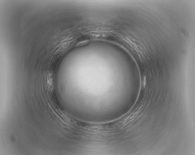 X0000116781396200912171522