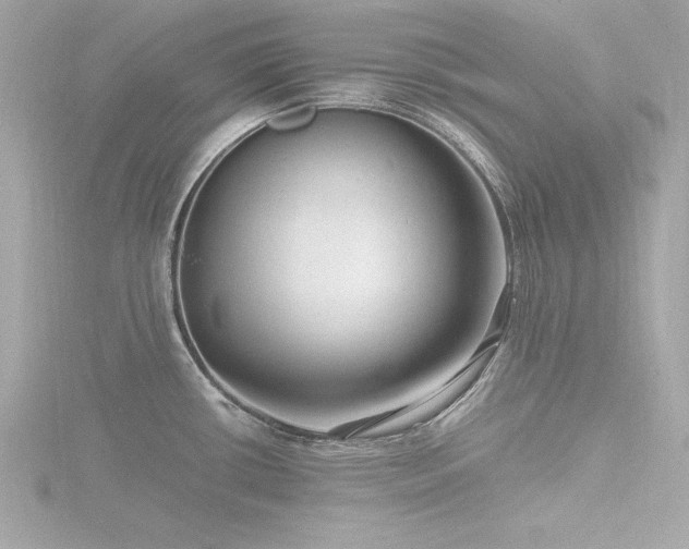 X0000116781434200912171523