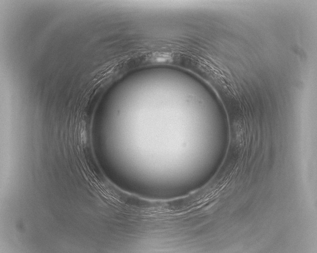 X0000116781442200912171522