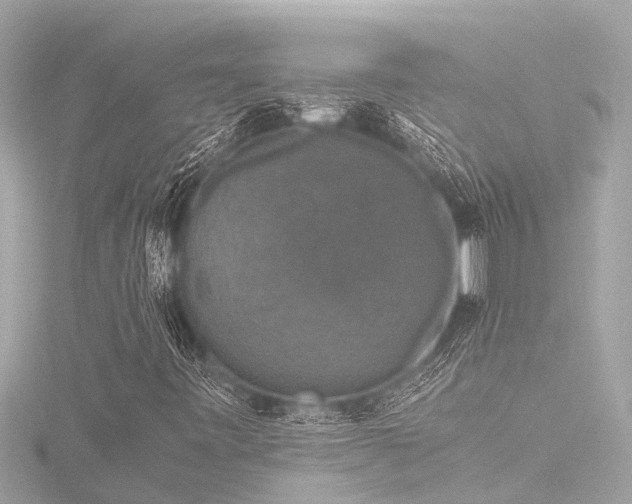 X0000116781443200912171522