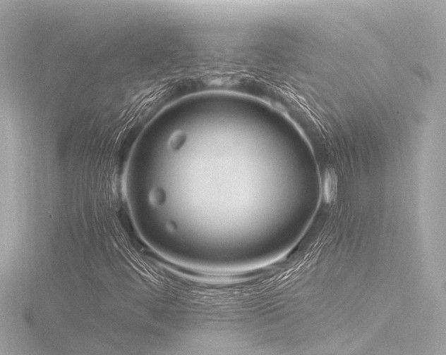 X0000116781444200912171522
