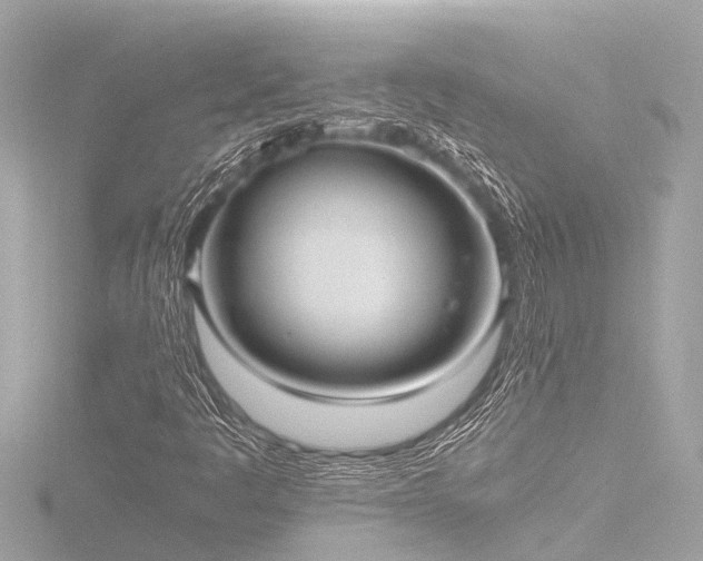 X0000116781445200912171522