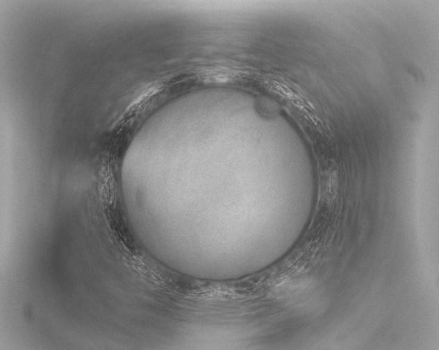 X0000116781446200912171522