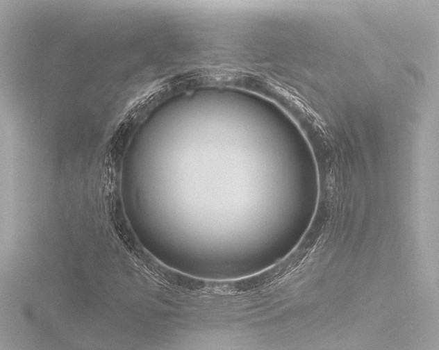 X0000116781447200912171522