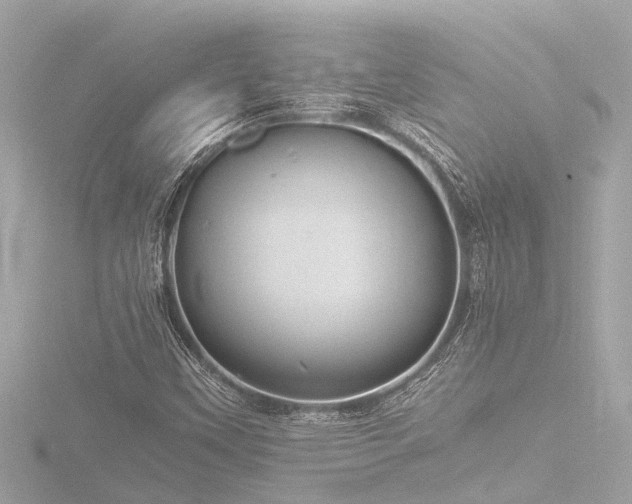 X0000116781451200912171522