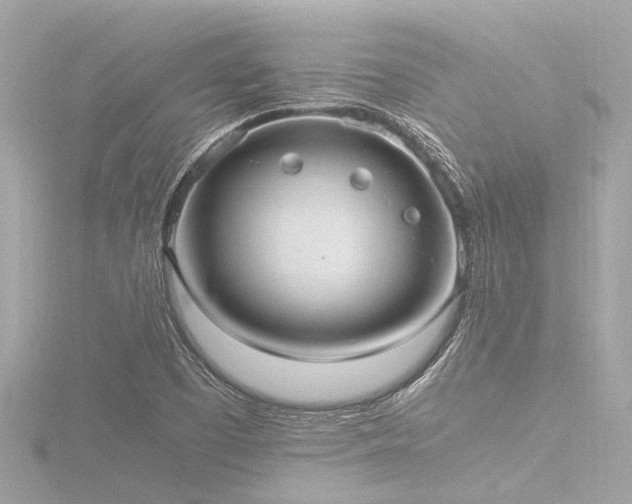 X0000116781457200912171522