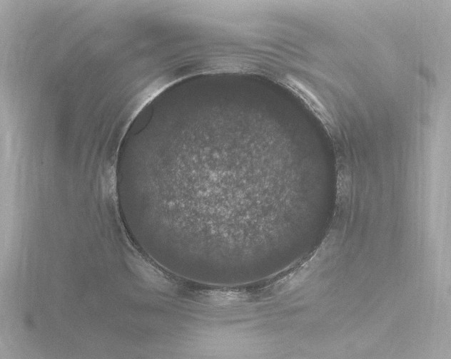 X0000116781465200912171522