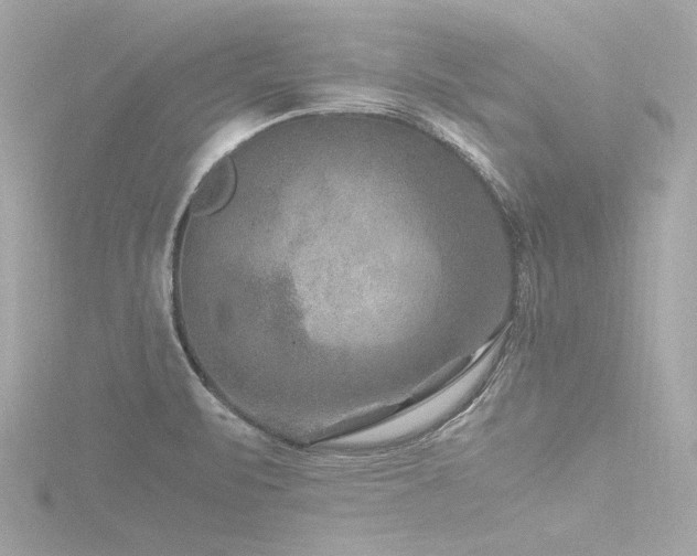 X0000116781471200912171522