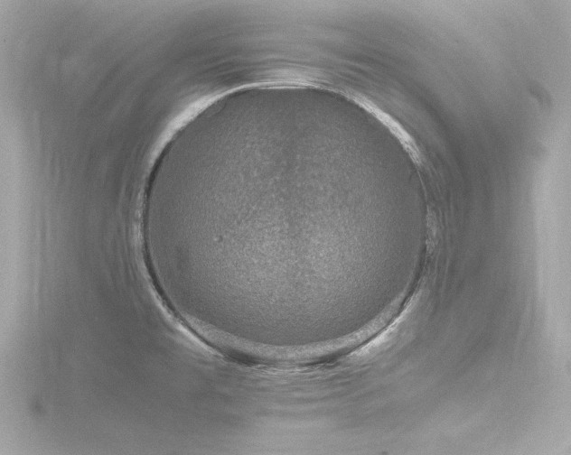 X0000116781477200912171522
