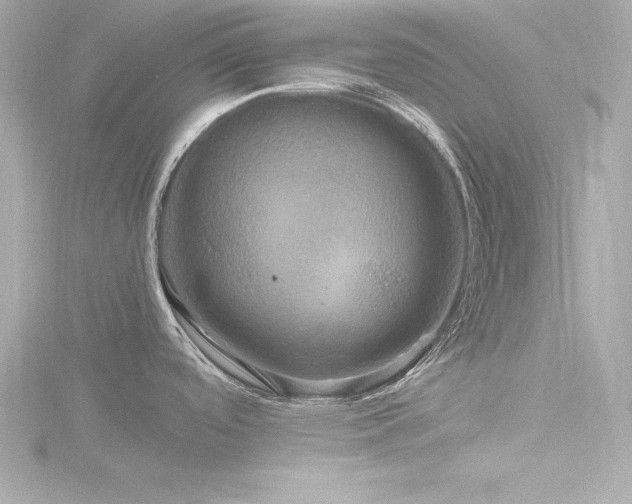 X0000116781488200912171521