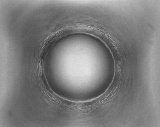 X0000116781493200912171521