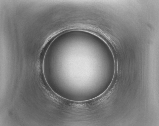 X0000116781501200912171521