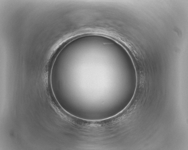 X0000116781503200912171521
