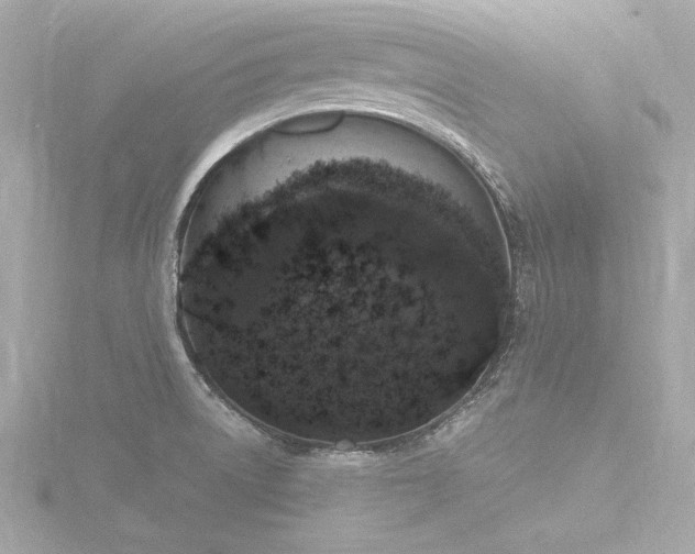 X0000116781522200912171521