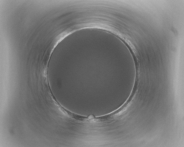 X0000116781529200912171521