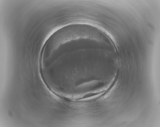 X0000116781533200912171521