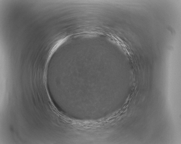 X0000116780003200912241151