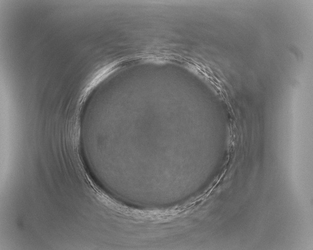 X0000116780005200912241151