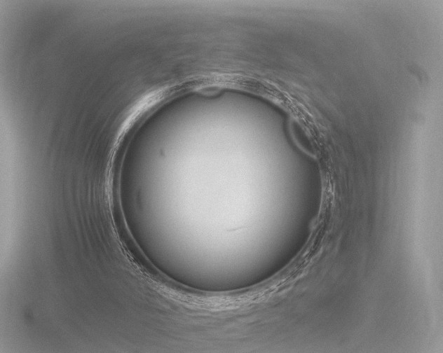 X0000116780006200912241151