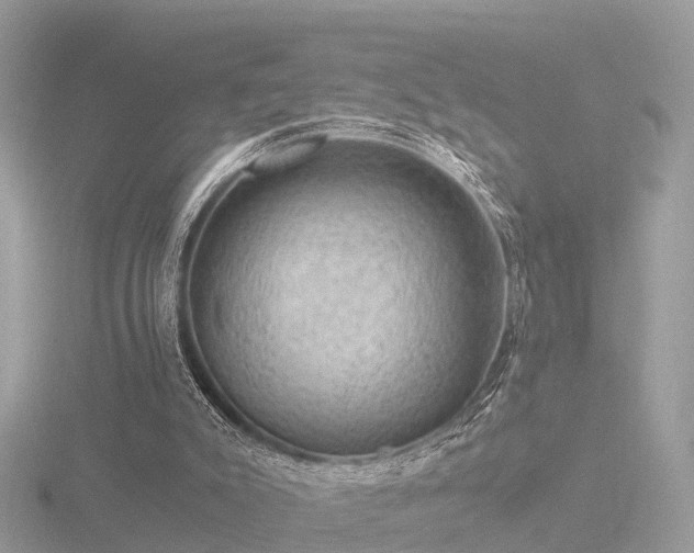X0000116780007200912241151