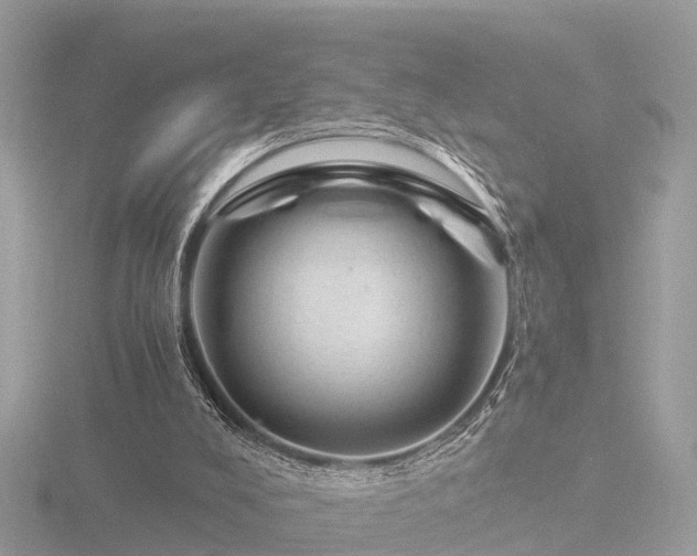 X0000116780008200912241151