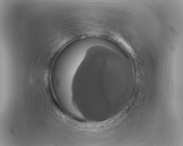 X0000116780009200912241151