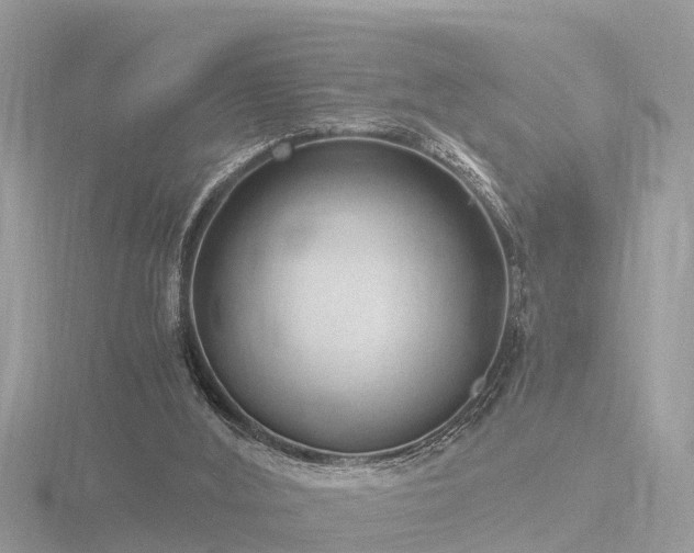 X0000116780012200912241151
