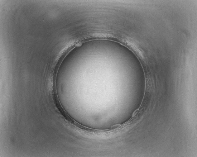 X0000116780015200912241151