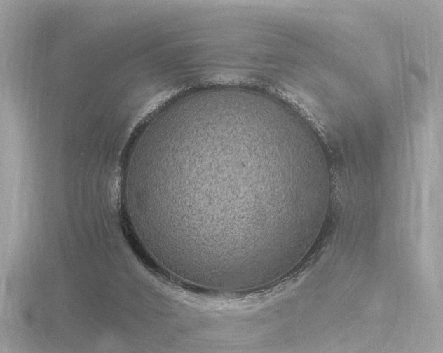 X0000116780016200912241151