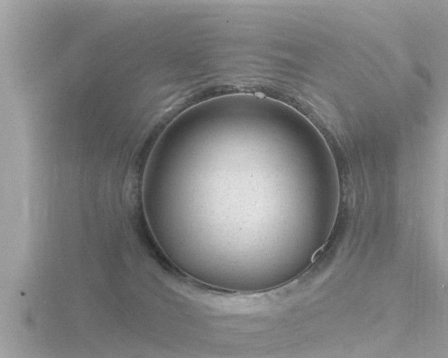 X0000116780036200912241151
