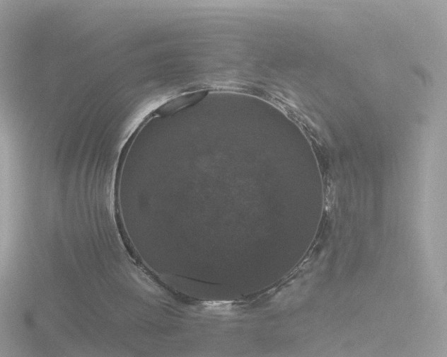 X0000116780052200912241150