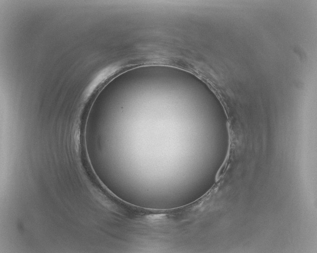 X0000116780054200912241150