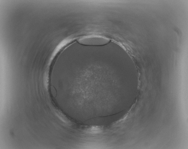 X0000116780056200912241150
