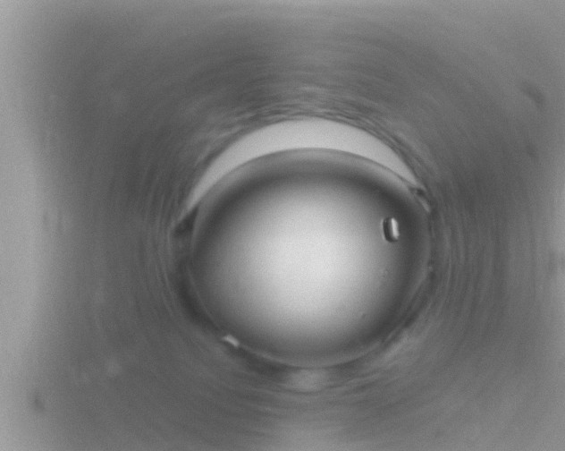 X0000116780088200912241151