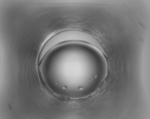 X0000116780100200912241150