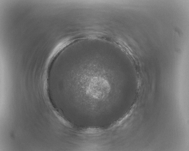 X0000116780101200912241150
