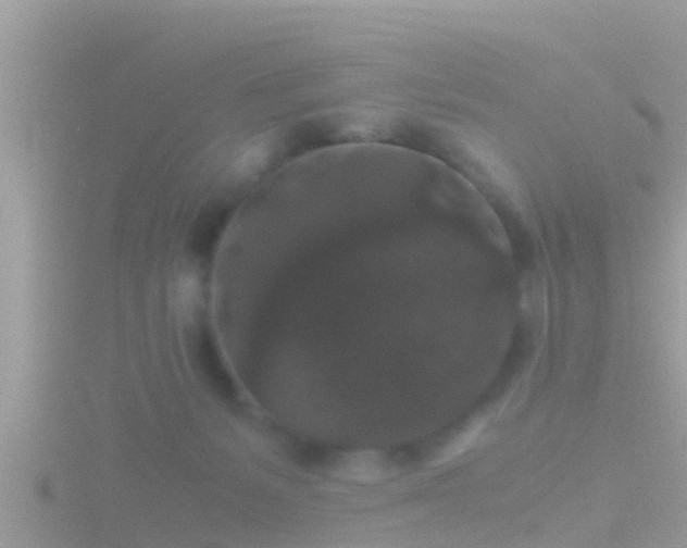 X0000116780127200912241150