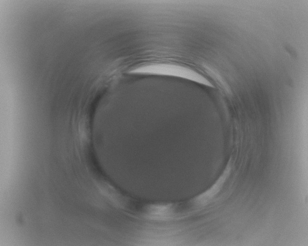 X0000116780170200912241149