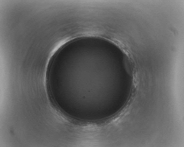 X0000116780196200912241149
