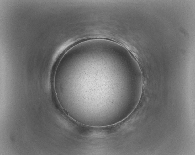 X0000116780248200912241148