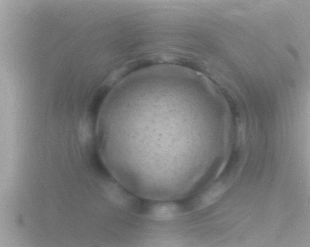 X0000116780274200912241148