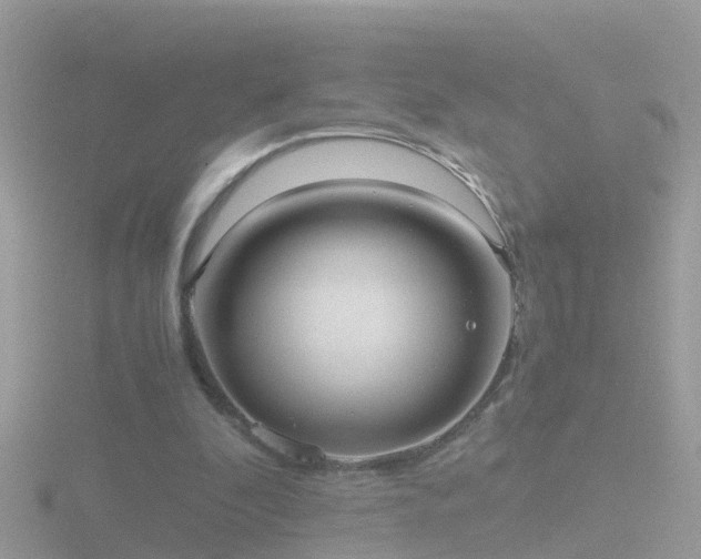 X0000116780296200912241147