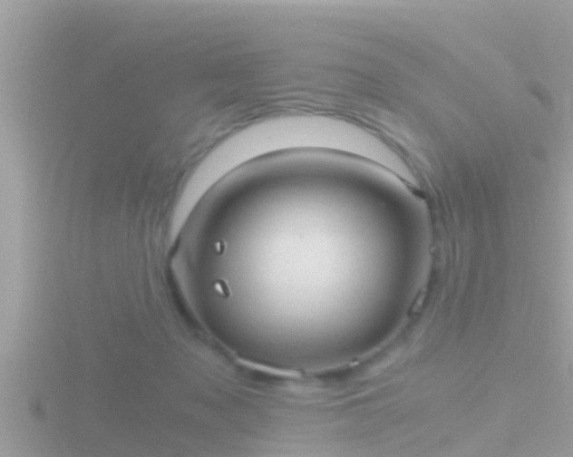 X0000116780317200912241147