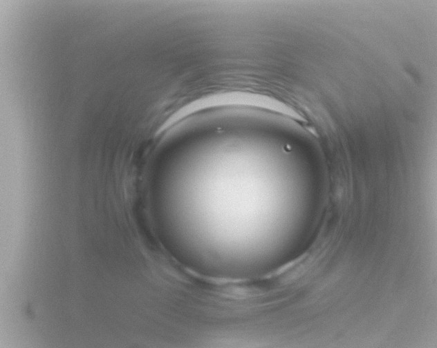 X0000116780332200912241147