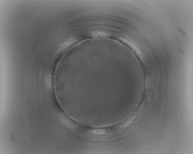 X0000116780353200912241147